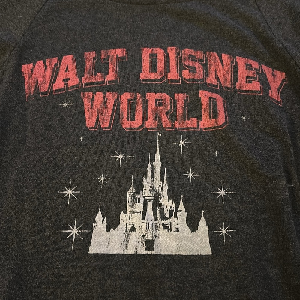 Disney Parks Walt Disney World Sweatshirt - Picture 3 of 9